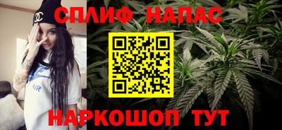 прущие крисы Кандалакша